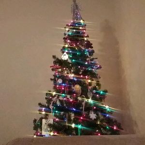 Meet your Posher, Trudy